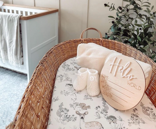 birth announcement setup