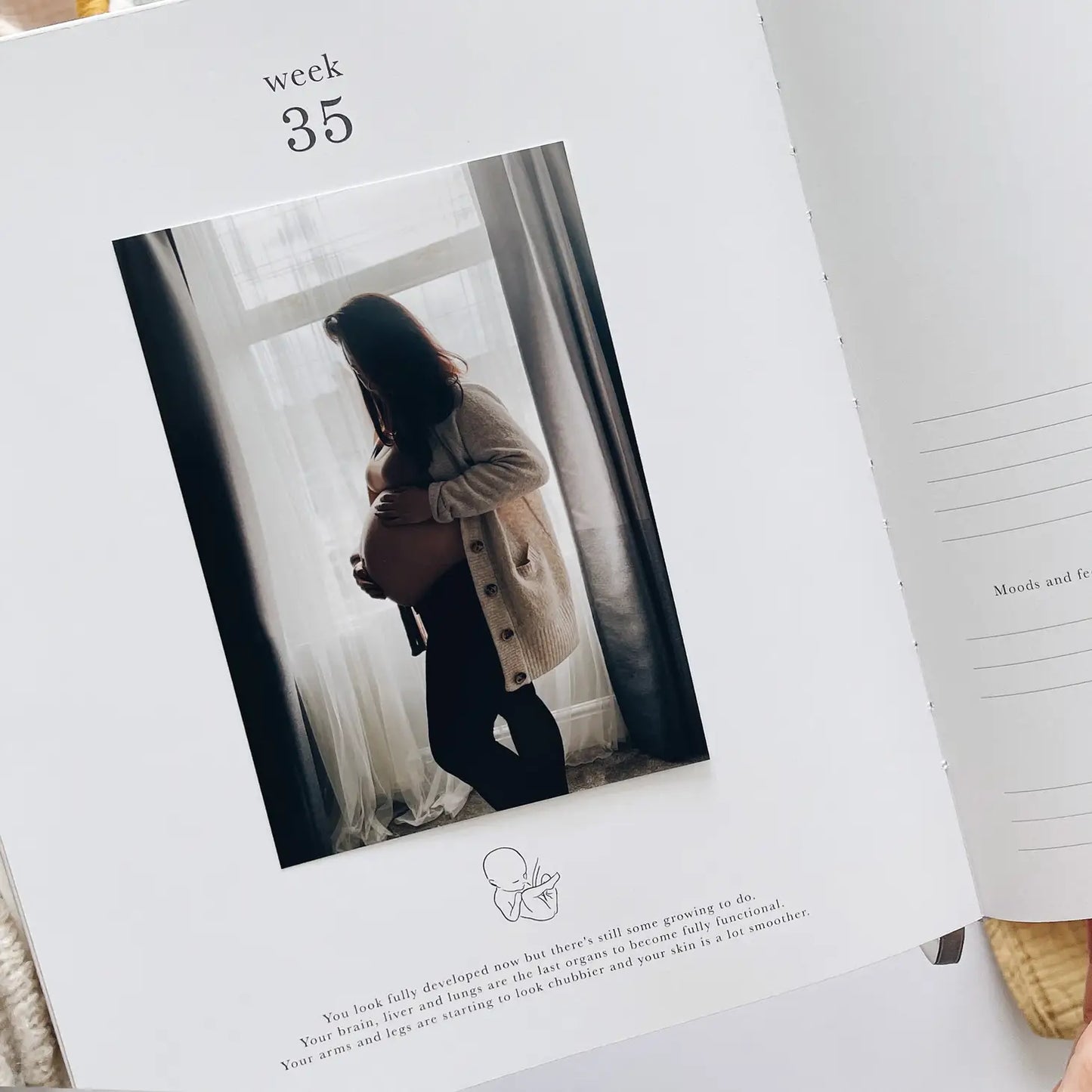 Pregnancy Journal (Jungle) - Parents To Be Record Book Gift
