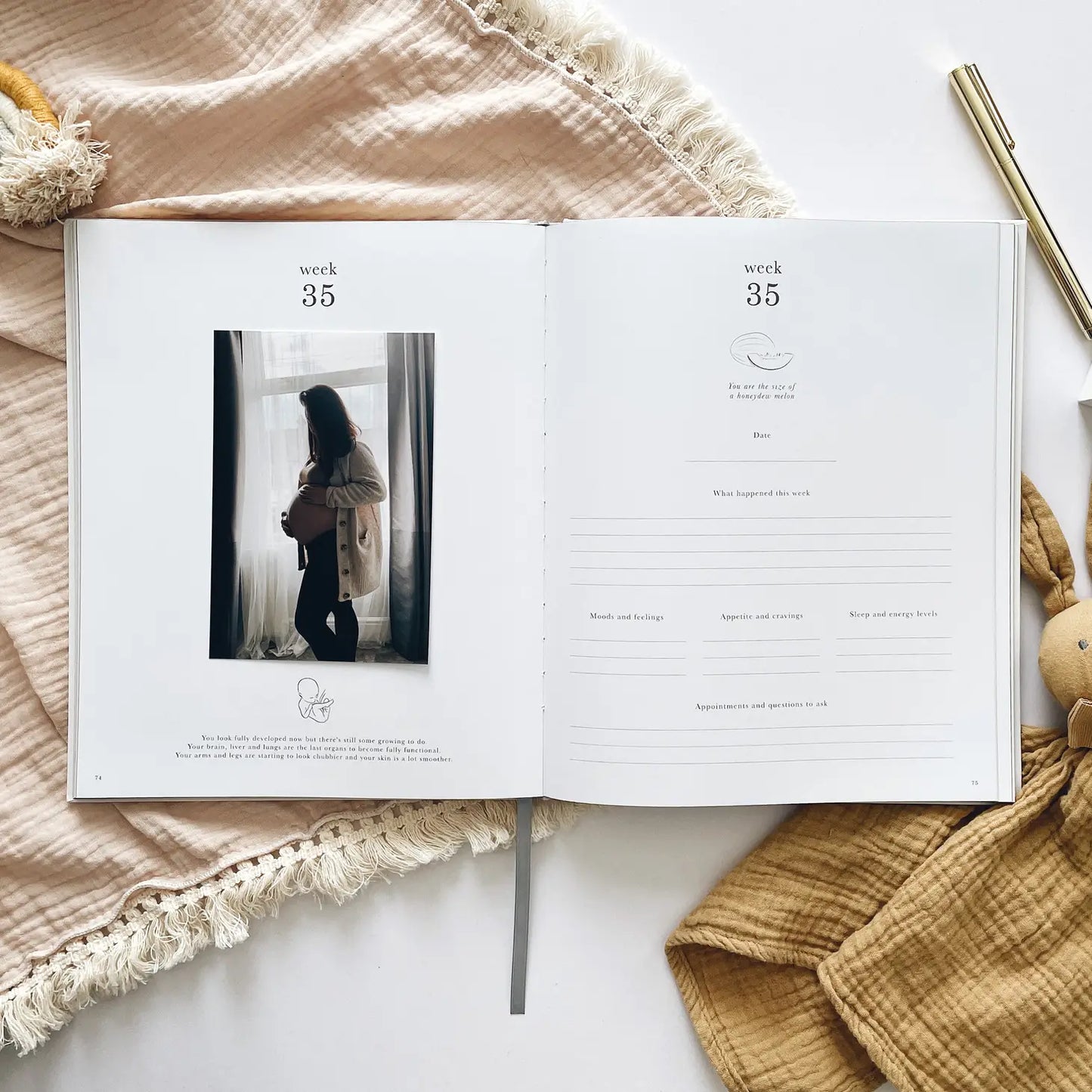 Pregnancy Journal (Jungle) - Parents To Be Record Book Gift