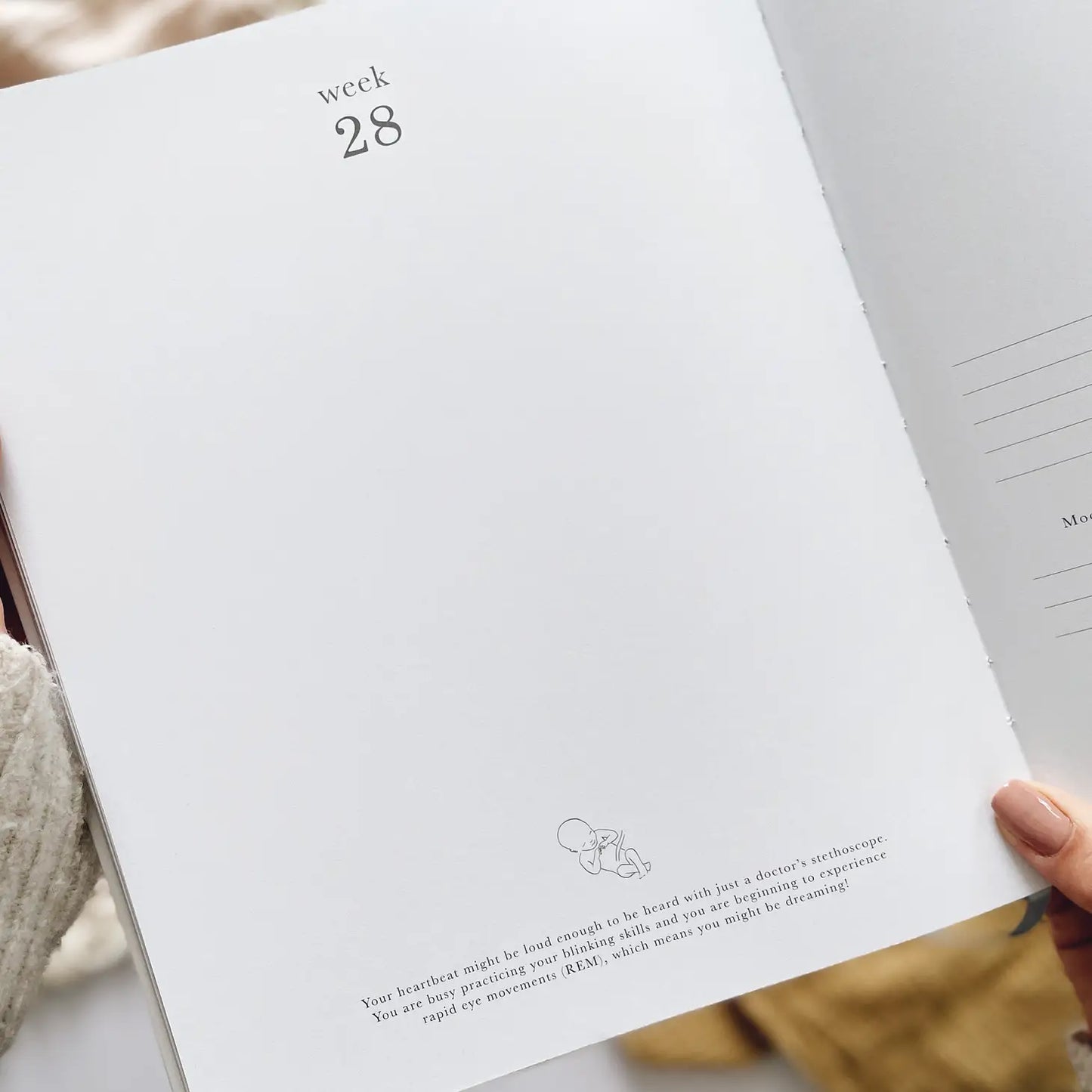 Pregnancy Journal (Jungle) - Parents To Be Record Book Gift