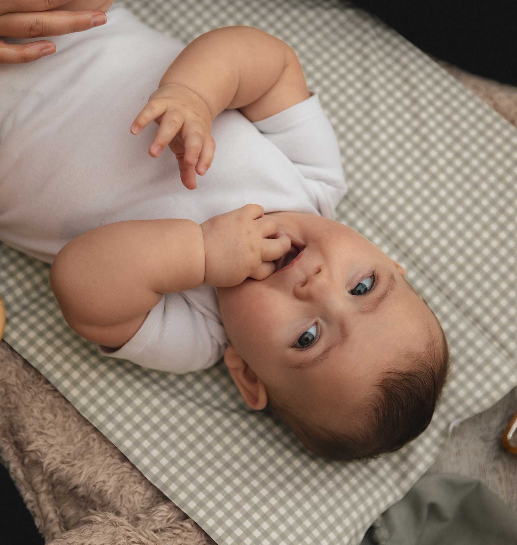 Foldable Travel Changing Mat - Sage Green Gingham